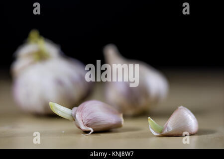 Sprouting cloves of garlic on a wooden table. Garlic with young sprouts. Black background. Stock Photo
