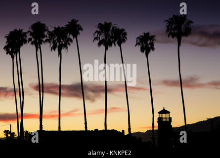 Cliche shot of palm trees silhouetted at sunset in Santa Barbara, California.  A row of trees in perfect alignment. Stock Photo