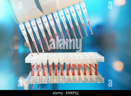 Scientific background. Multichannel pipette tips filled in with reaction mixture to amplify DNA in plastic wells. This image is toned. Stock Photo