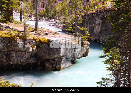 Turquoise colored waters from Tokumm Creek flows through Marble Canyon in Kootenay National Park, British Columbia, Canada, near Banff. Stock Photo