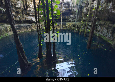 Cenote Oxman near Valladolid, Yucatán, Mexico Stock Photo