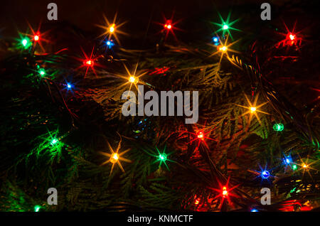 Christmas lights on a tree in different colors are classic symbol of Christmas. Stock Photo