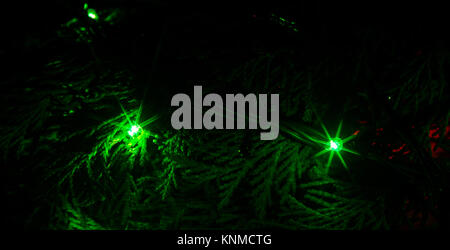 Christmas lights on a tree in different colors are classic symbol of Christmas. Stock Photo