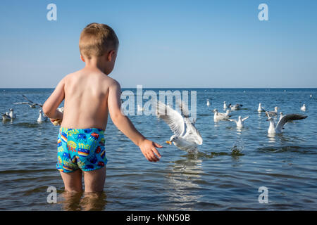 Little caucasian boy standing in the sea and throwing pieces of bread to white seagulls Stock Photo