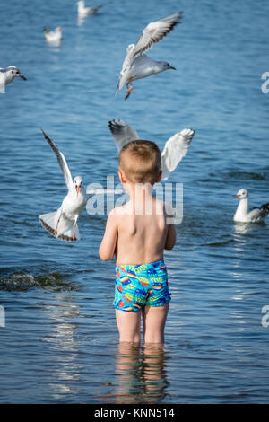 Little caucasian boy standing in the sea and throwing pieces of bread to white seagulls Stock Photo