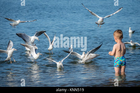 Little caucasian boy standing in the sea and throwing pieces of bread to white seagulls Stock Photo