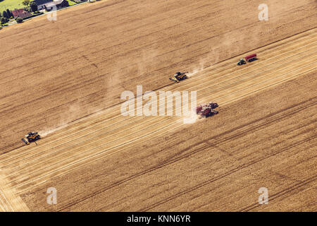 Aerial view on the combines working on the large wheat field. Stock Photo