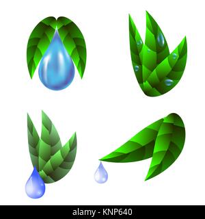 Green Sticker with Leaves Stock Vector