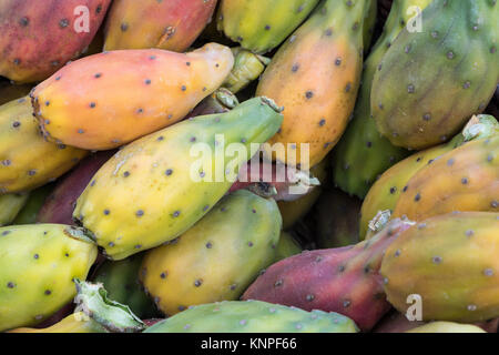 Prickly pears of the variety called bastardoni on the table of a street seller in Catania, Italy. Stock Photo