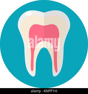 Healthy white teeth. Icon flat style. Dentistry, dentist concept. Isolated on white background. Vector illustration. Stock Vector