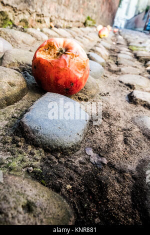 Rotten windfall apples on the cobbled streets around York Minster, York. Stock Photo