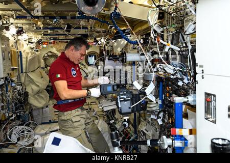Expedition 53 Italian astronaut Paolo Nespoli works on a science experiment aboard the International Space Station December 12, 2017 in Earth Orbit. Stock Photo