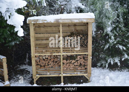 Timber log store with a mono pitch roof in garden made from treated wood covered in snow with surrounding trees and filled with some logs and kindling Stock Photo