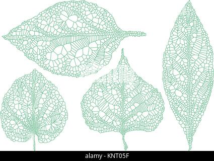 green vein leaves, skeleton leaf, set of vector design elements, over white background Stock Vector