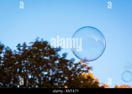 Single Round Circular Soap Bubble Blue Sky Nature Background Orange Tree Autumn Seasonal Floating Air Shiny Stock Photo