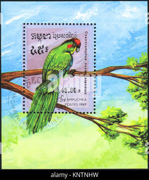 A stamp printed in KAMPUCHEA  shows a Red-crowned Parakeet, Miniature sheet (Cyanoramphus novaezelandiae), from series Breeds of parrots, circa 1989 Stock Photo