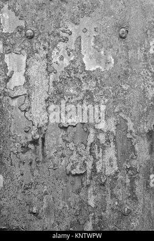 Close-up of a ragged and completely rusty sheet metal plate in black and white. Stock Photo