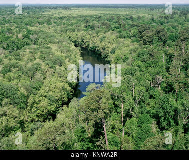 Aerial view of Weston Lake in spring. Note the skyline of Columbia, South Caroline visible on the horizon.   Weston Lake is an oxbow lake located in C Stock Photo