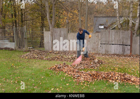 Bearded man sweeping up leaves from neighbours trees that have landed on garden lawn a tedious chore in autumn never-ending Stock Photo