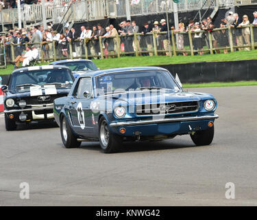 Rupert Keegan, Anders Nannerup, Ford Mustang, Shelby Cup, Goodwood Revival 2014, 2014, automobile, Autosport, Goodwood Revival, Goodwood Revival 2014, Stock Photo