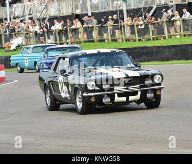 Christian Dumolin, Marc Devis, Ford Mustang, Shelby Cup, Goodwood Revival 2014, 2014, automobile, Autosport, Goodwood Revival, Goodwood Revival 2014,  Stock Photo