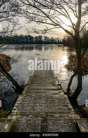 Winter Scene, Bolam Lake Country Park, Northumberland, UK Stock Photo