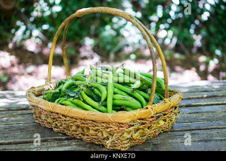 Broad beans in a basket Stock Photo