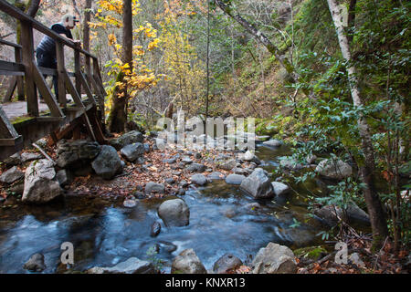 A hiker in GARZAS CANYON  enjoys the fall foilage - CARMEL VALLEY, CALIFORNIA Stock Photo