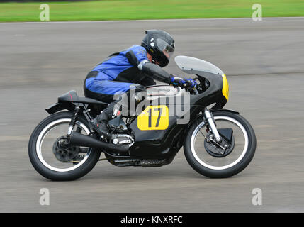 Stuart Tonge, Adam Child, Norton Manx 500, Goodwood Revival 2013, Barry ...