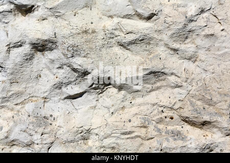The old sandstone wall forms the background Stock Photo