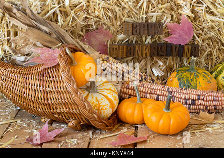 Colorful pumpkins, gourds and corn with a happy thanksgiving sign on a straw background Stock Photo