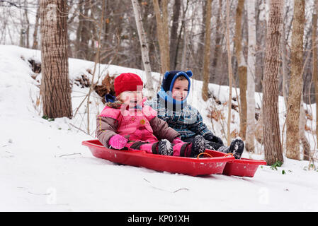 Brother and sisters (5 and 3 yrs old) sledging together in Quebec in winter