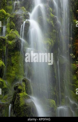 Lower Proxy Falls along Proxy Falls Trail, Three Sisters Wilderness, Willamette National Forest, Oregon.