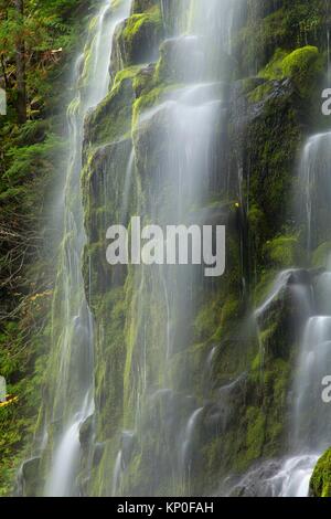 Lower Proxy Falls along Proxy Falls Trail, Three Sisters Wilderness, Willamette National Forest, Oregon.
