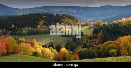 View on Kasperske Hory in Czech Bohemian Forrest during autumn over gentle rolling hills in beatifull colours an stunning light scenery Stock Photo