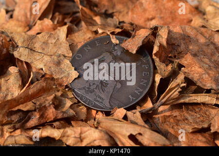 A century old British coin (one penny) on a bed of dried leaves. Stock Photo