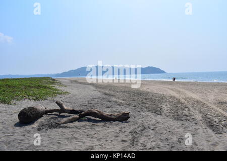 Morjim Beach, Goa, India. Stock Photo