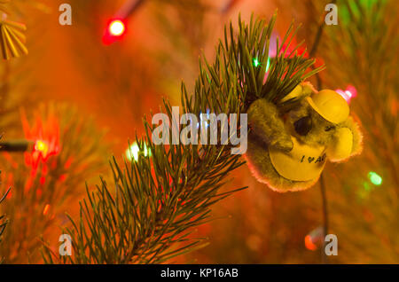 Koala souvenir soft toy teddy bear used on a Christmas tree as a Australian inspired interior Christmas tree decoration. Stock Photo