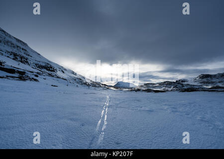 Ski touring in Swedish Lapland, in Kebnekaise massive mountain range. Sweden, Europe Stock Photo