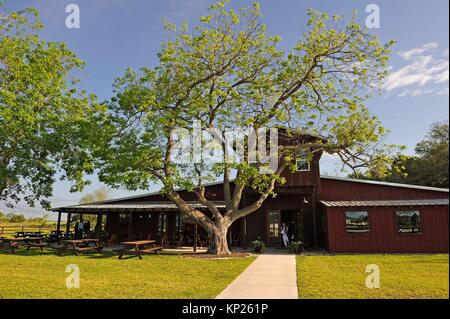 pecan tree in front of Amelia Farm and Market 8600 Dishman Road