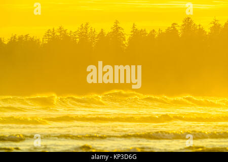 Pnw Pacific Rim Shoreline along Pacific Rim National Park, Canada Stock Photo - Alamy
