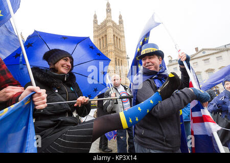London, UK. 13 December 2017Anti Brexit, pro European protesters demonstrate outside Parliament in Westminster today. The House of Commons will today debate an amendment to the Brexit deal, giving MP's the right to vote on the final deal, should it become enshrined in law. Credit: Vickie Flores/Alamy Live News Stock Photo