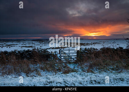 Teesdale, County Durham UK. Thursday 14th December 2017. UK Weather.  It was a cold and snowy start to the day as the sun rose over Teesdale in County Durham this morning. Credit: David Forster/Alamy Live News Stock Photo