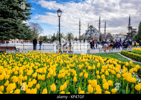 Traditional tulip Festival in Sultanahmet Square with view of Sultan Ahmet Mosque(Blue Mosque).Istanbul,Turkey.04 April,2017 Stock Photo