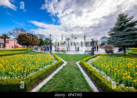 Traditional tulip Festival in Sultanahmet Square with view of Sultan Ahmet Mosque(Blue Mosque).Istanbul,Turkey.04 April,2017 Stock Photo