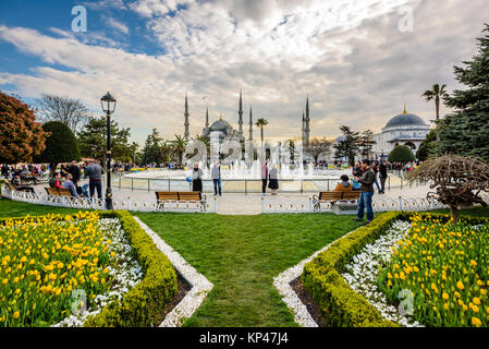 Traditional tulip Festival in Sultanahmet Square with view of Sultan Ahmet Mosque(Blue Mosque).Istanbul,Turkey.04 April,2017 Stock Photo