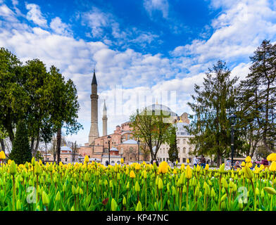 Traditional tulip Festival in Sultanahmet Square with view of Sultan Ahmet Mosque(Blue Mosque).Istanbul,Turkey.04 April,2017 Stock Photo