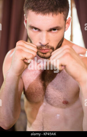Close up portrait of young sweaty boxer, holding fists close to face. Stock Photo