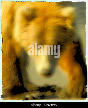 blurred brown bear Stock Photo