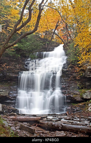 Waterfall at Ricketts Glen State Park,Benton,Pennsylvania,USA. Stock Photo